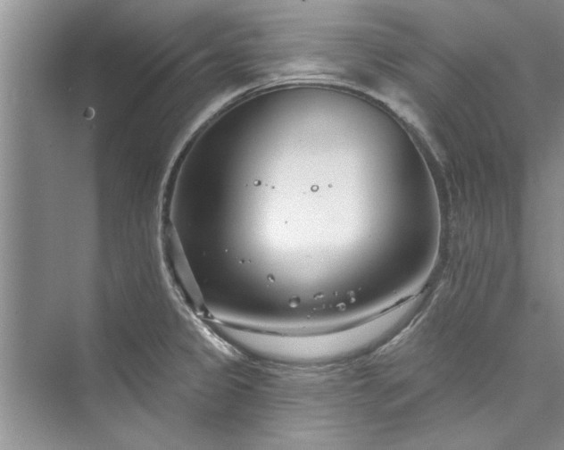 X0000073421333200608111341