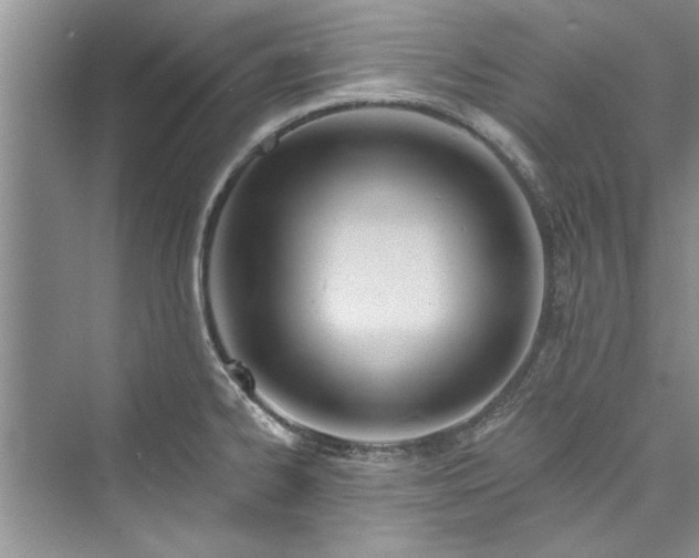 X0000073421334200608111341