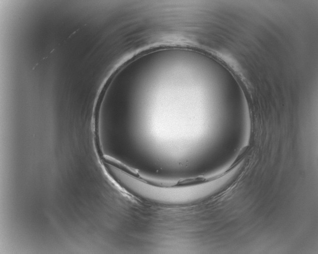 X0000073421335200608111341