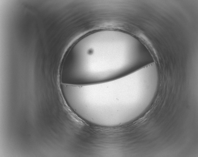 X0000073421336200608111341