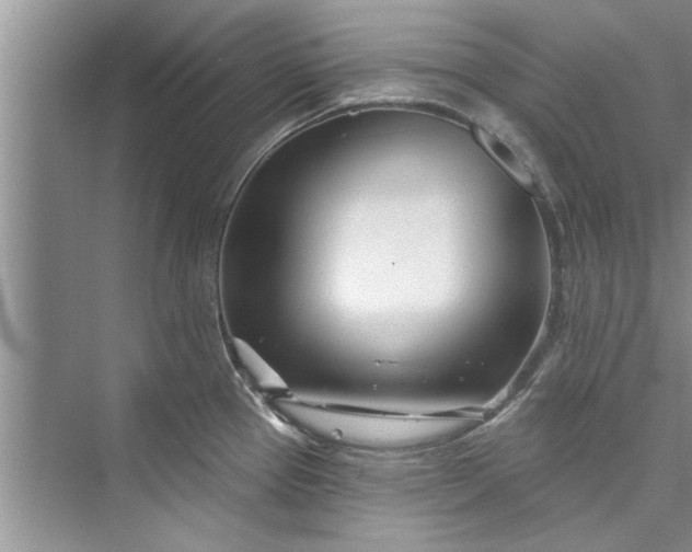 X0000073421337200608111341