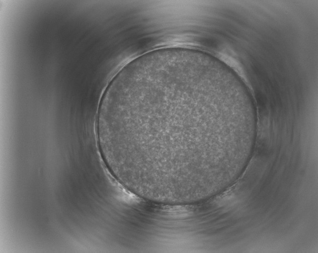 X0000073421338200608111341