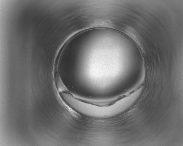 X0000073421339200608111341