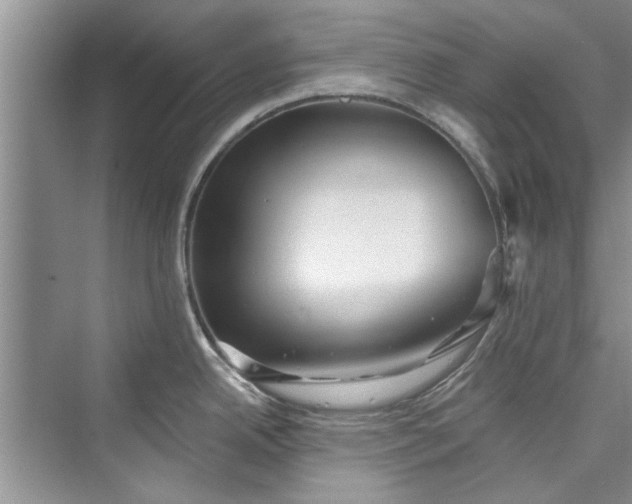 X0000073421342200608111341