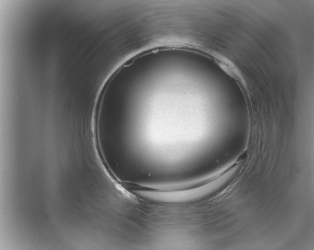 X0000073421343200608111341