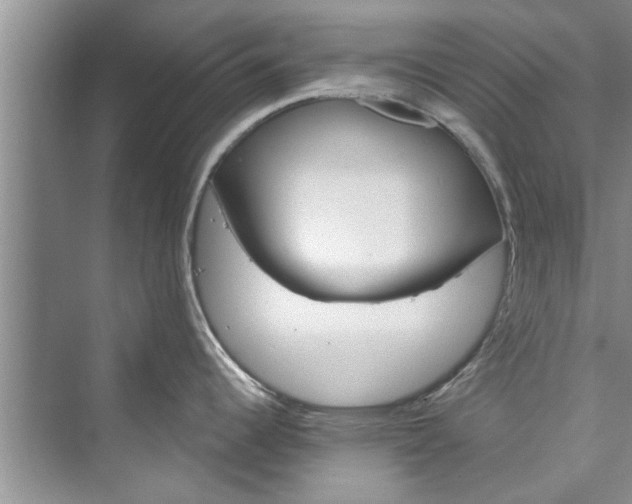 X0000073421344200608111341