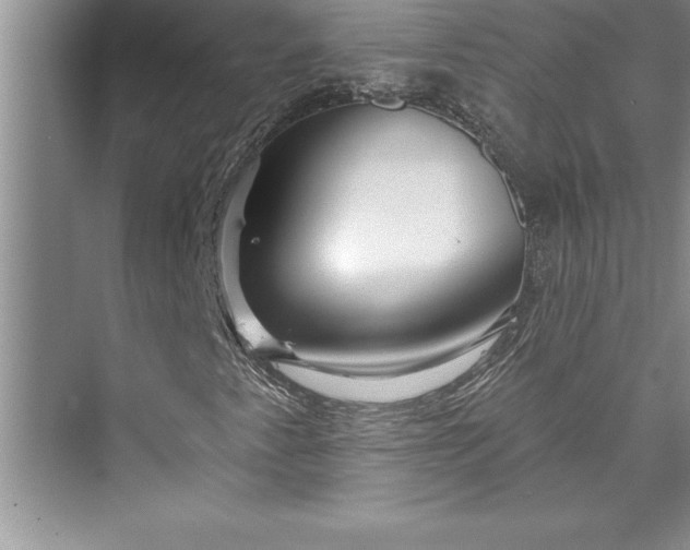 X0000073421345200608111340