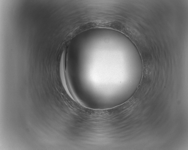 X0000073421346200608111340