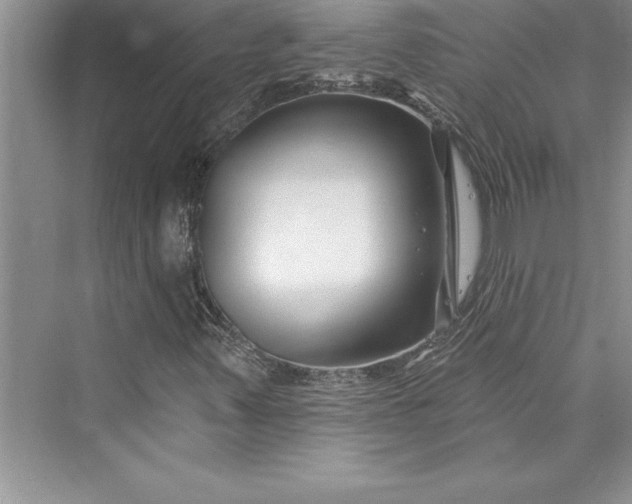 X0000073421347200608111340