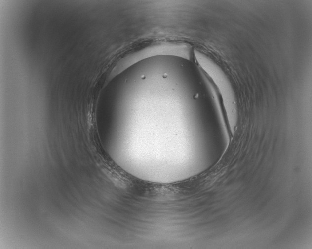 X0000073421348200608111340