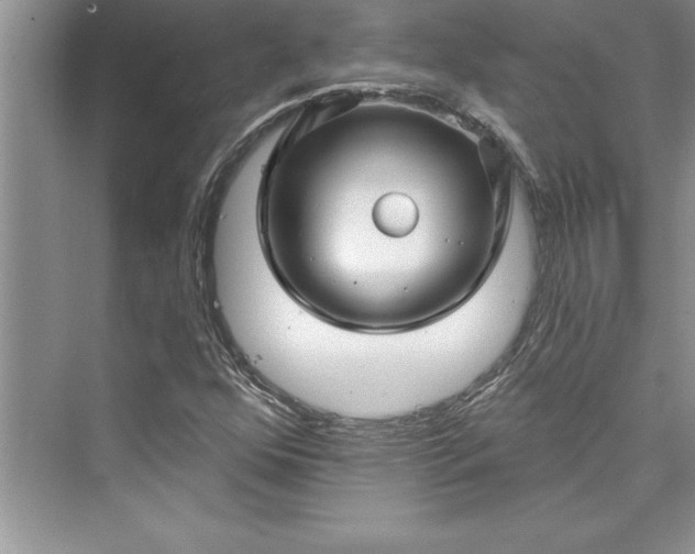 X0000073421352200608111340