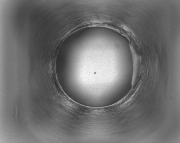 X0000073421353200608111340