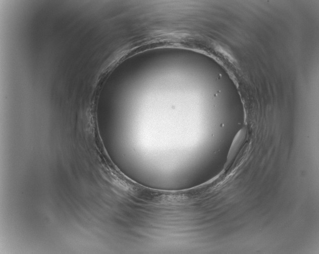 X0000073421354200608111340