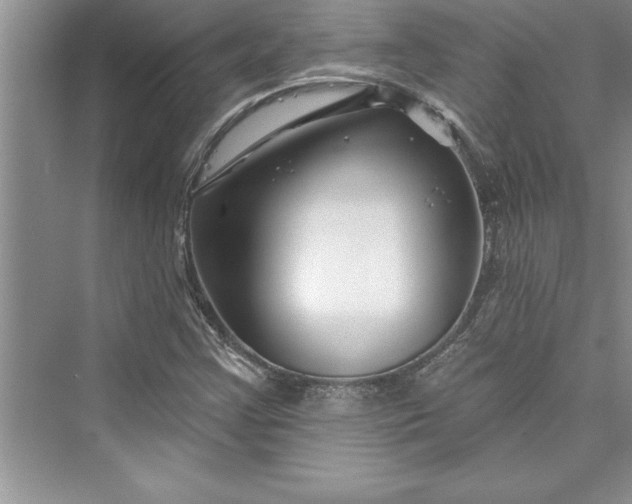 X0000073421355200608111340