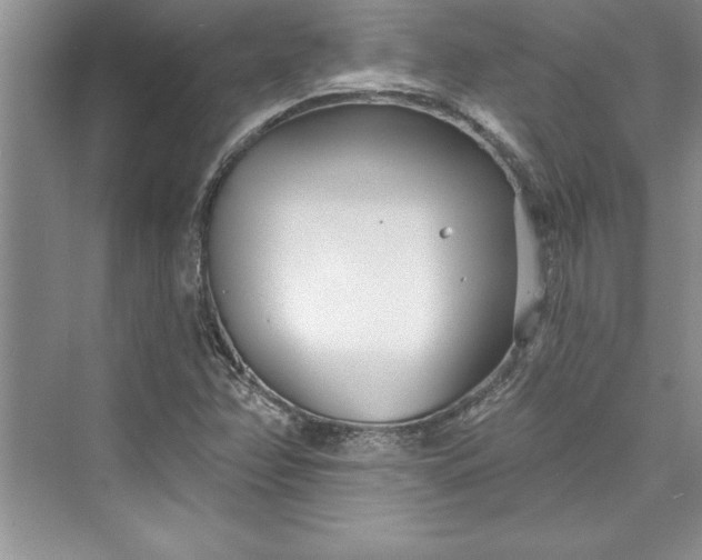 X0000073421358200608111340