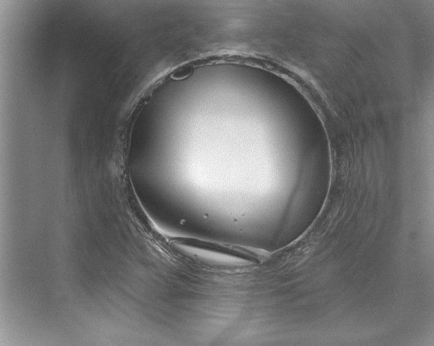 X0000073421359200608111340