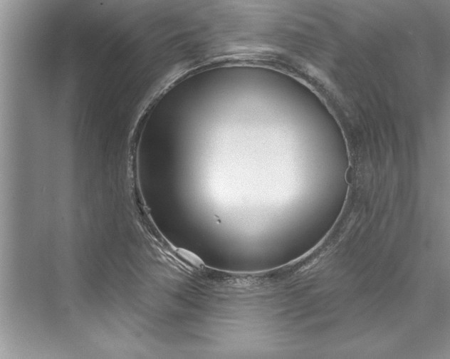 X0000073421362200608111340