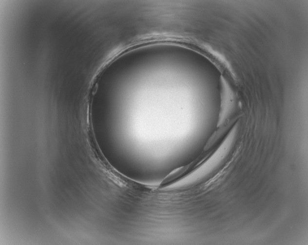 X0000073421365200608111340