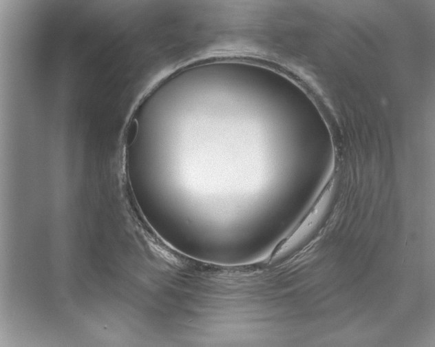 X0000073421366200608111340