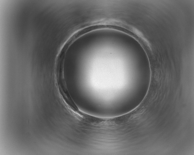 X0000073421368200608111340