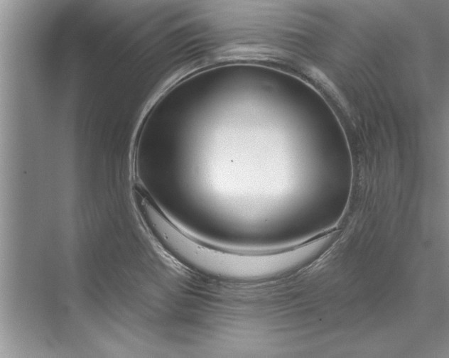 X0000073421370200608111340