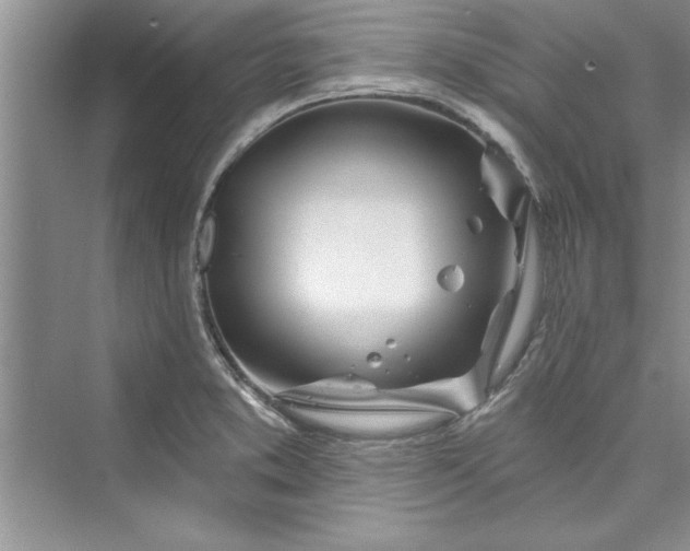 X0000073421373200608111340