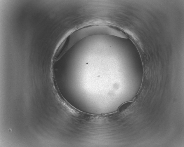 X0000073421374200608111340