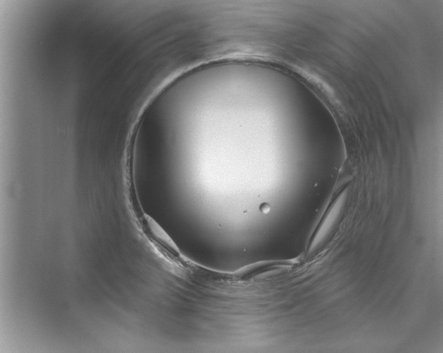 X0000073421375200608111340