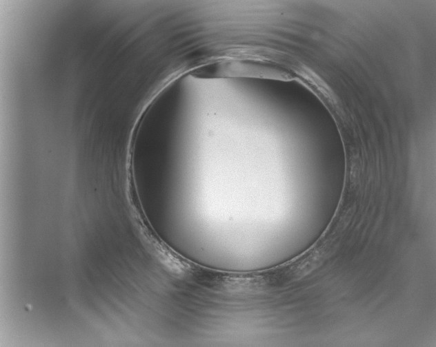 X0000073421378200608111340