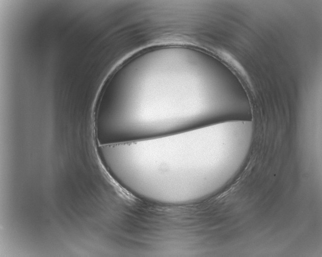 X0000073421380200608111340