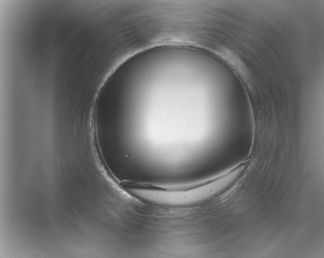 X0000073421382200608111340