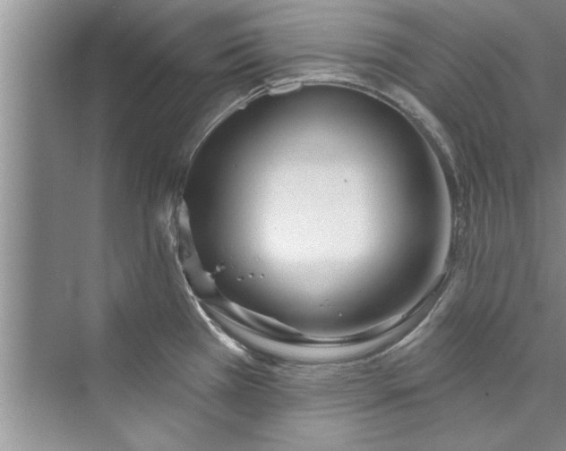 X0000073421385200608111340