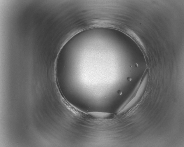 X0000073421386200608111340