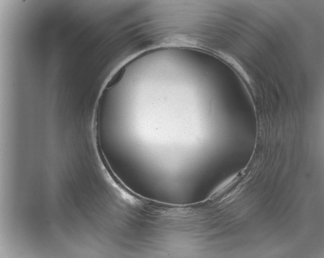 X0000073421387200608111340