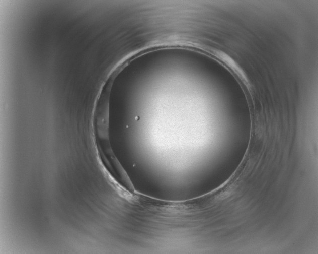 X0000073421388200608111340