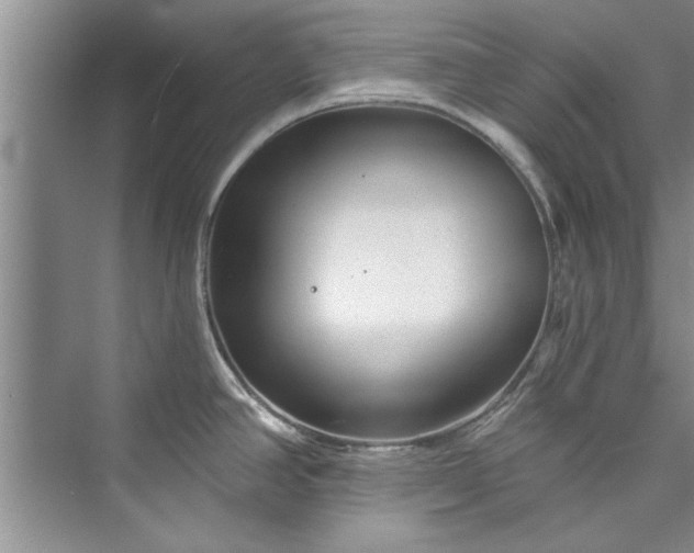 X0000073421390200608111340