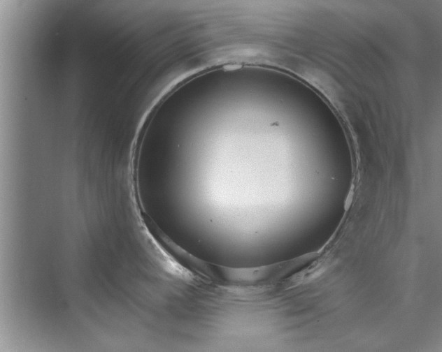 X0000073421392200608111339