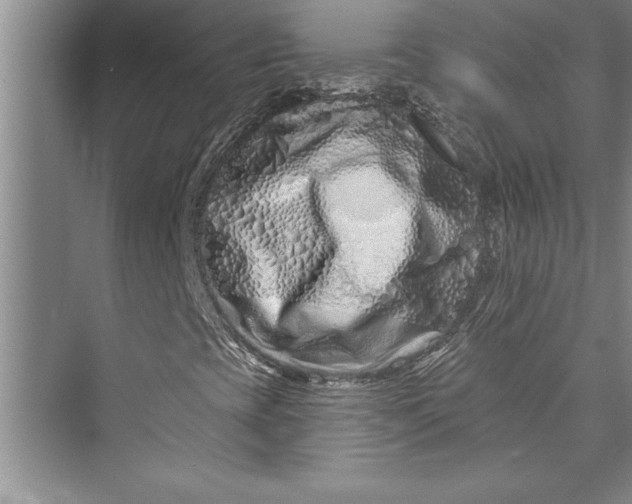 X0000073421393200608111339