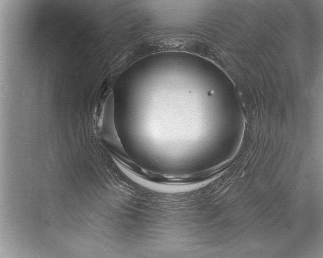 X0000073421394200608111339