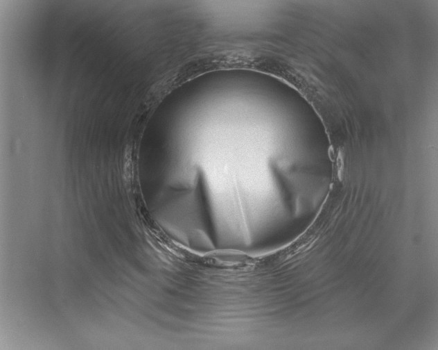 X0000073421395200608111339