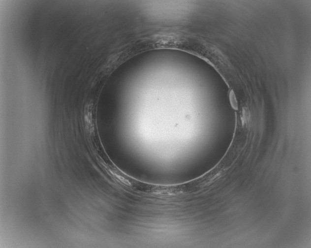 X0000073421396200608111339