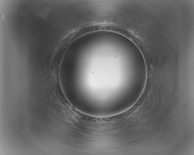 X0000073421398200608111339