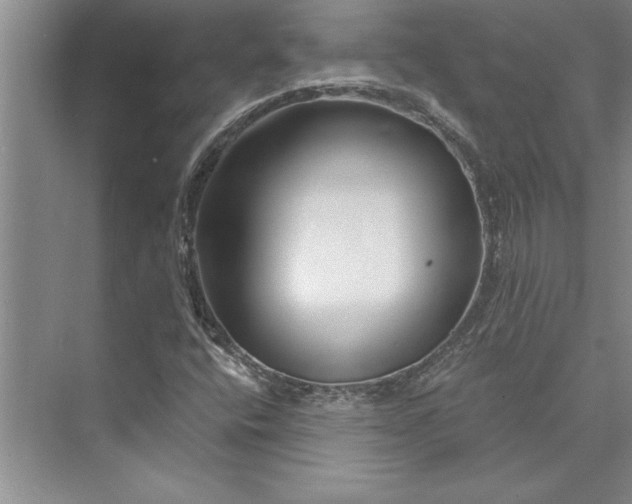 X0000073421400200608111339