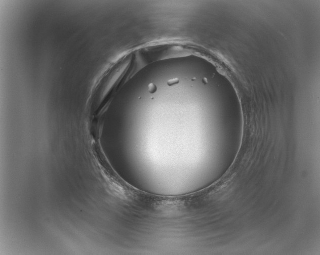 X0000073421406200608111339