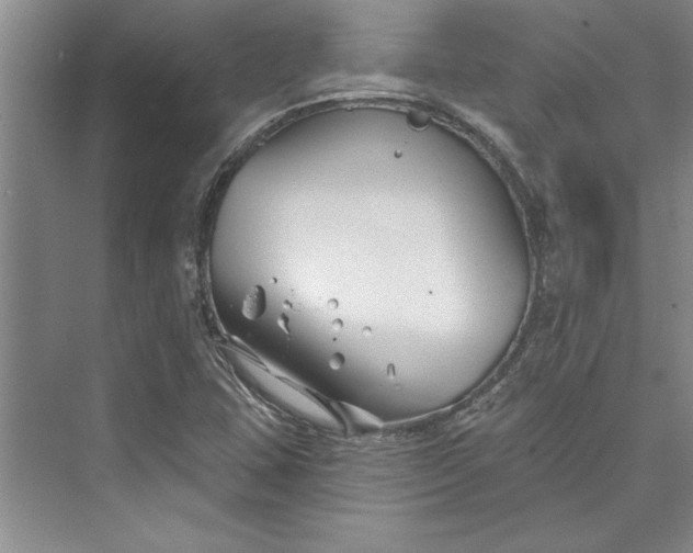 X0000073421407200608111339