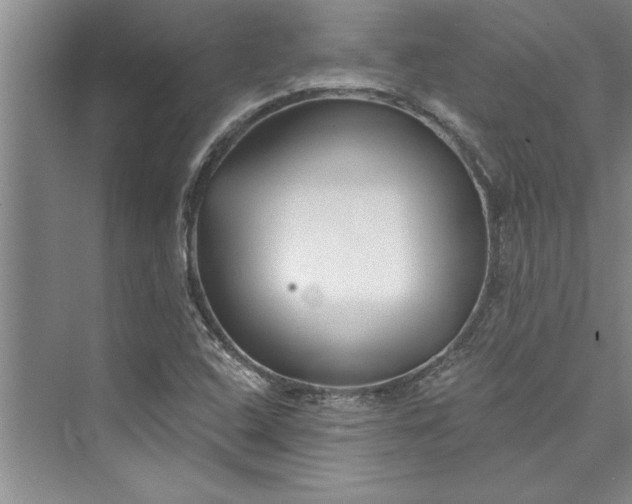 X0000073421408200608111339