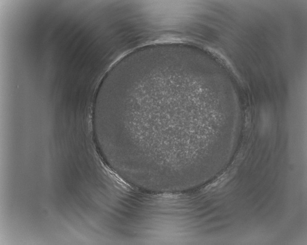 X0000073421409200608111339