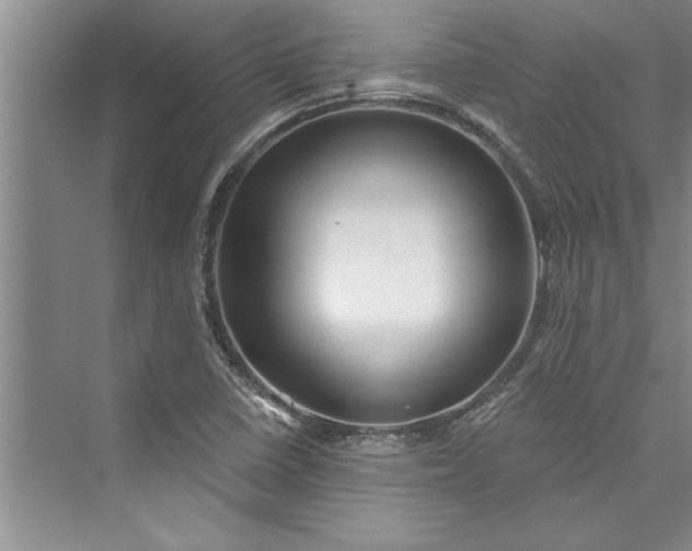 X0000073421410200608111339