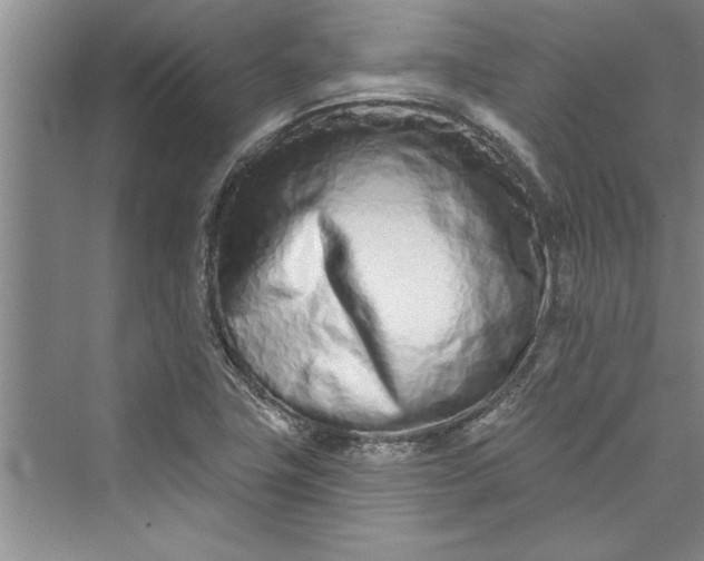 X0000073421411200608111339