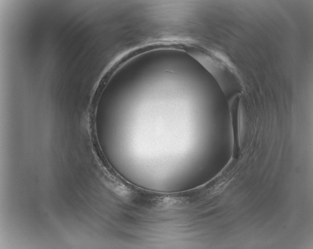 X0000073421412200608111339